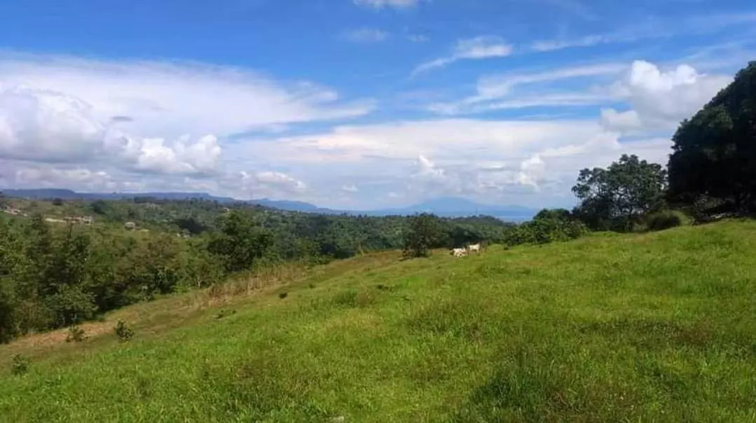 Strategic 2-Hectare Lot Along Diokno Highway, Lemery, Batangas