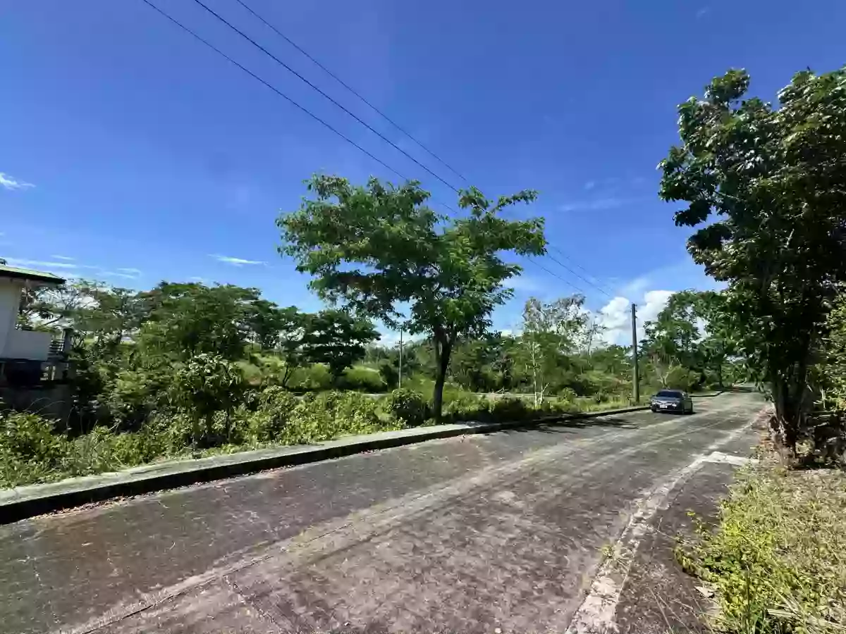 LOT FOR SALE IN SUMMERHILS, COMPOSTELA — Residential Lot in Compostela, Cebu, Philippines — Photo 4