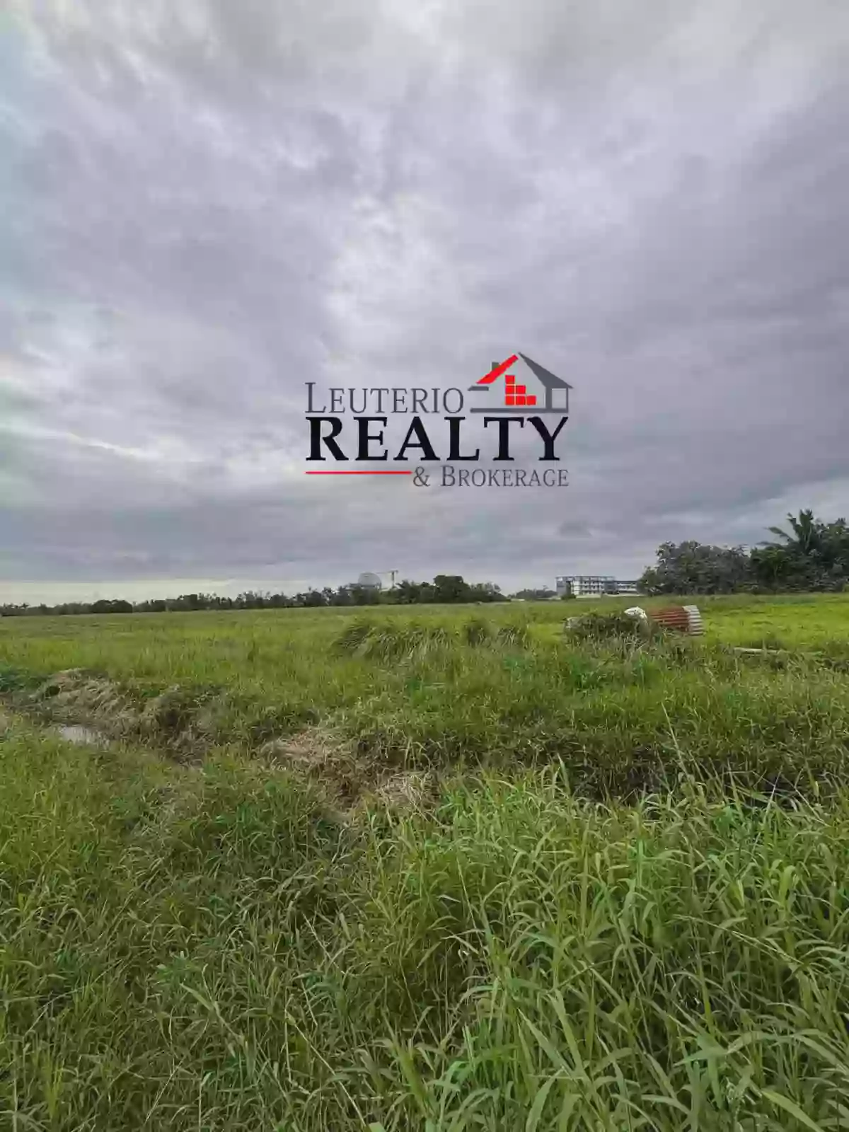 Lot For Sale in Pili CamSur! — Agricultural Lot in San Jose, Pili, Camarines Sur — Photo 4
