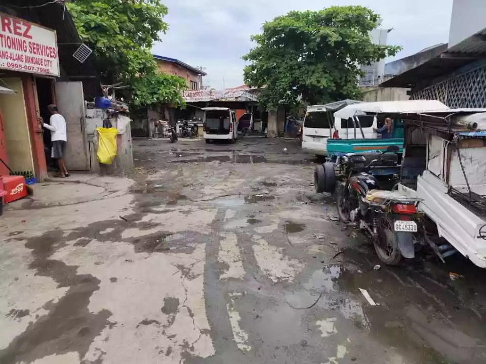 Prime Commercial Lot for Sale along Mandaue National Highway, Cebu — Commercial Lot in Mandaue City, Cebu, 6014 — Photo 5