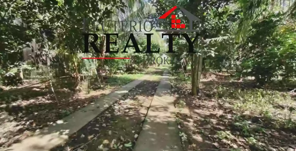 3470 SQM FARM LOT WITH LIVESTOCK CONSTRUCTION — Agricultural Lot in Calabanga, Camarines Sur, Philippines — Photo 7