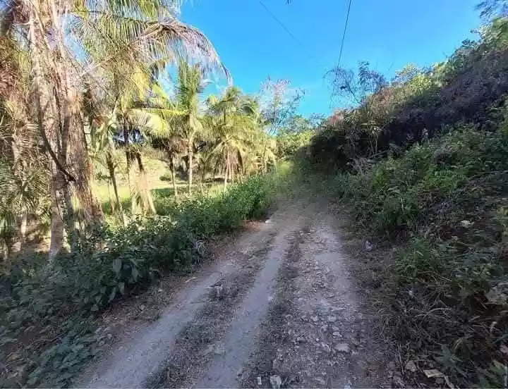 Farm Lot For Sale at Danao City