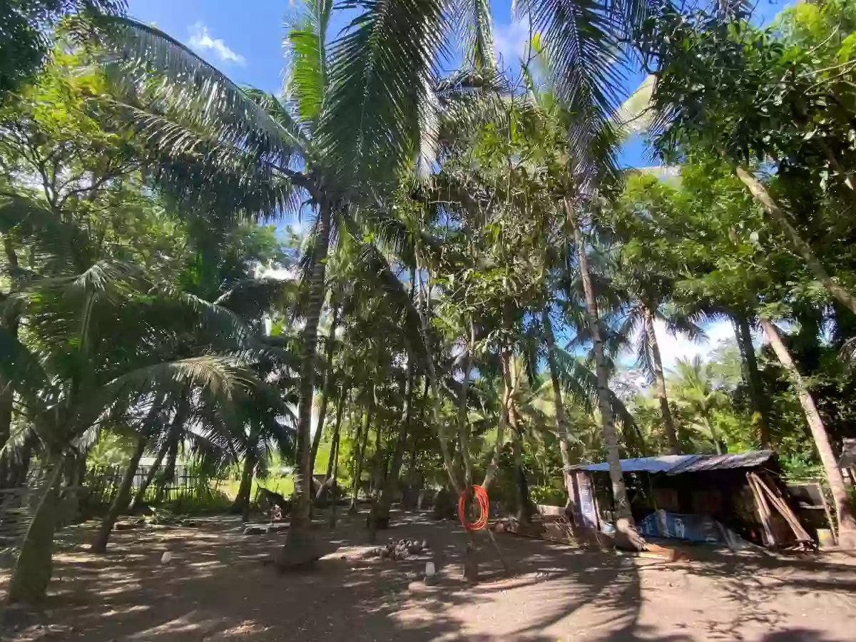 Residential lot for sale in Conel , General Santos — Residential Lot in South Cotabato, Philippines — Photo 2