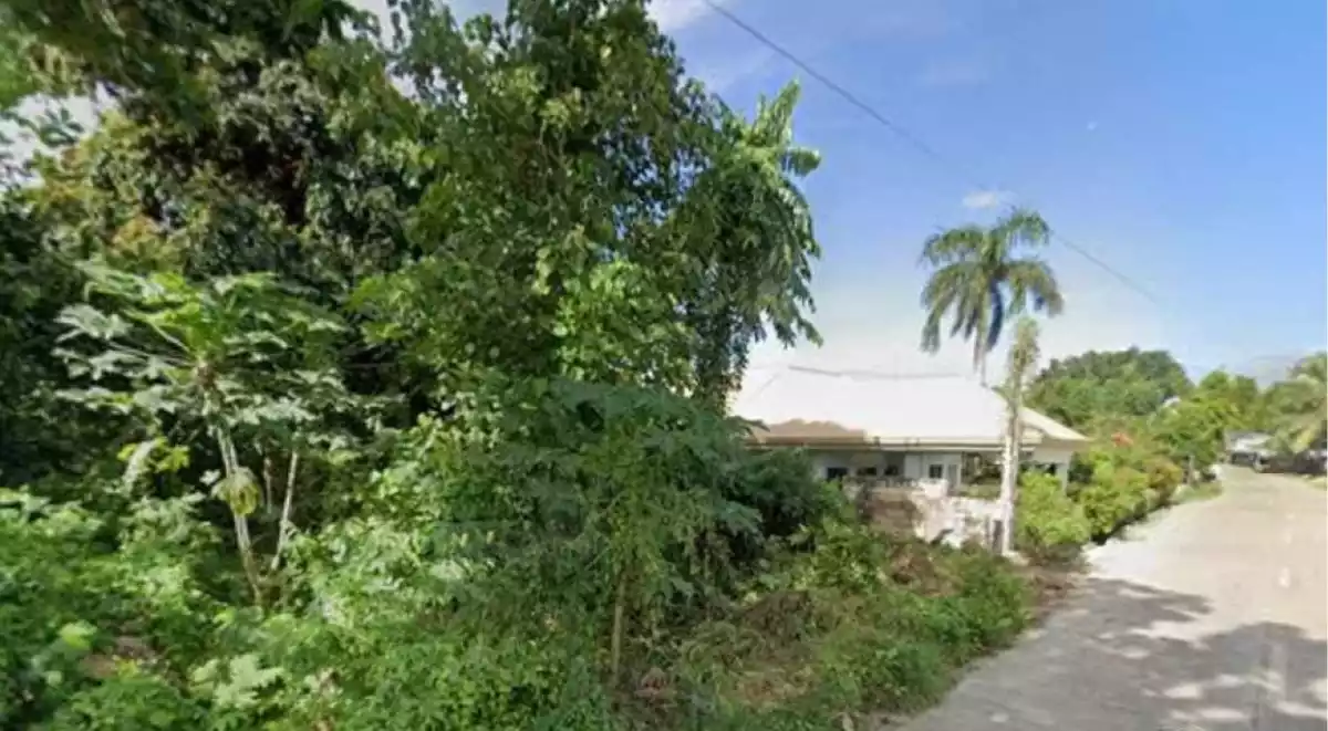 Lot for Sale in Tagbilaran City