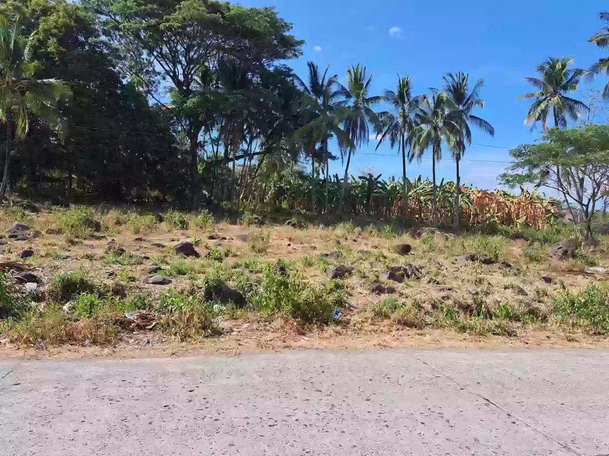 FOR SALE: 1,110 SQM Residential Lot Tierra Alta, Palinpinon, Valencia — Residential Lot in Valencia, Negros Oriental, Philippines — Photo 5