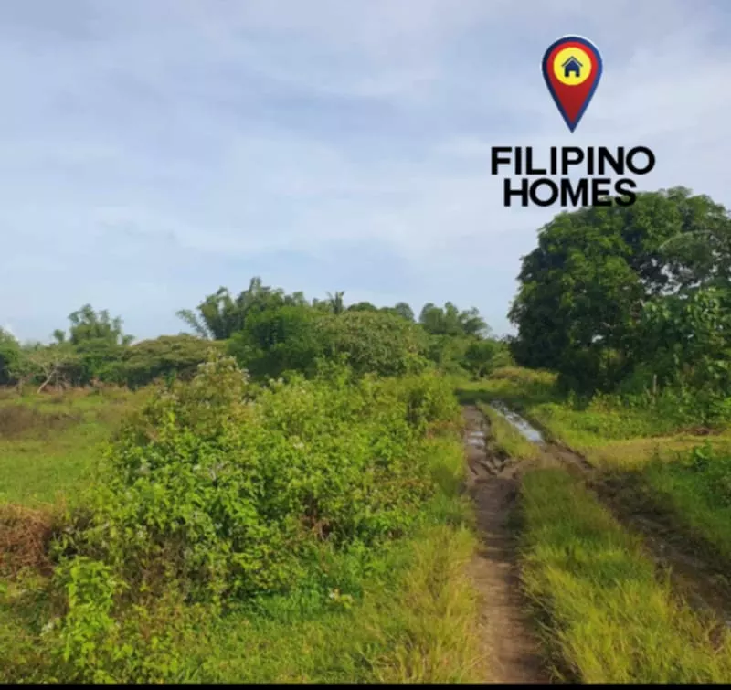 1000sqm RESIDENTIAL LOT FOR SALE — Residential Lot in Naga City, Camarines Sur, Philippines — Photo 3