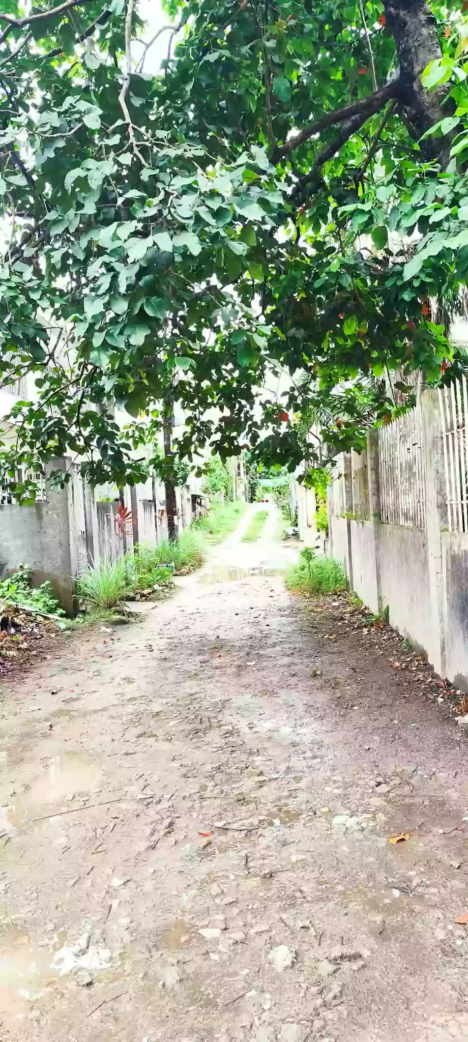 Lor for sale in Talamban Cebu City — Residential Lot in Cebu City, Cebu, Philippines — Photo 2
