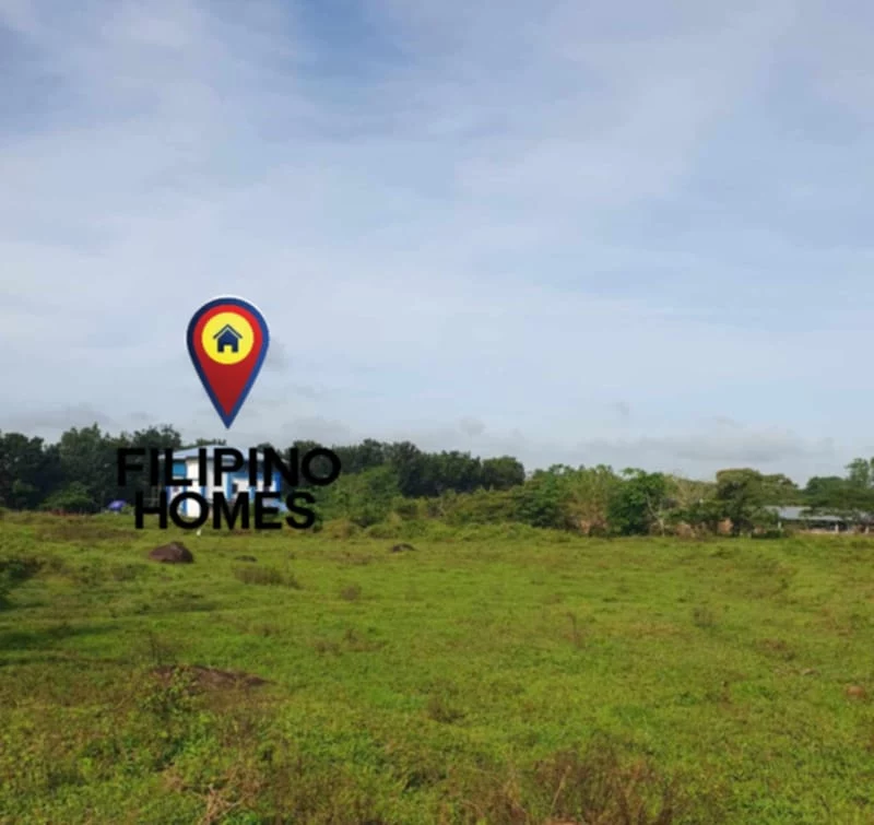 1000sqm RESIDENTIAL LOT FOR SALE — Residential Lot in Naga City, Camarines Sur, Philippines — Photo 4