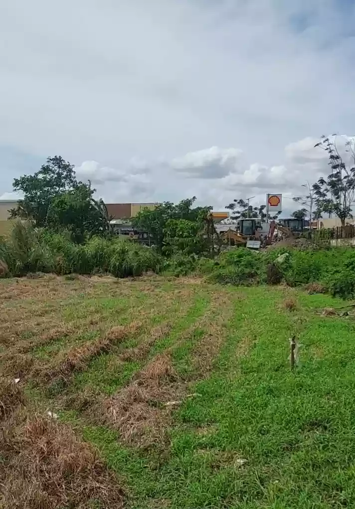 circumferential Road Tacas Jaro — Agricultural Lot in Iloilo, Philippines — Photo 6