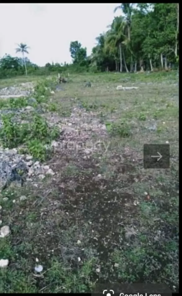 RESIDENTIAL LOT NEAR AIRPORT — Residential Lot in Bohol, Philippines — Photo 2