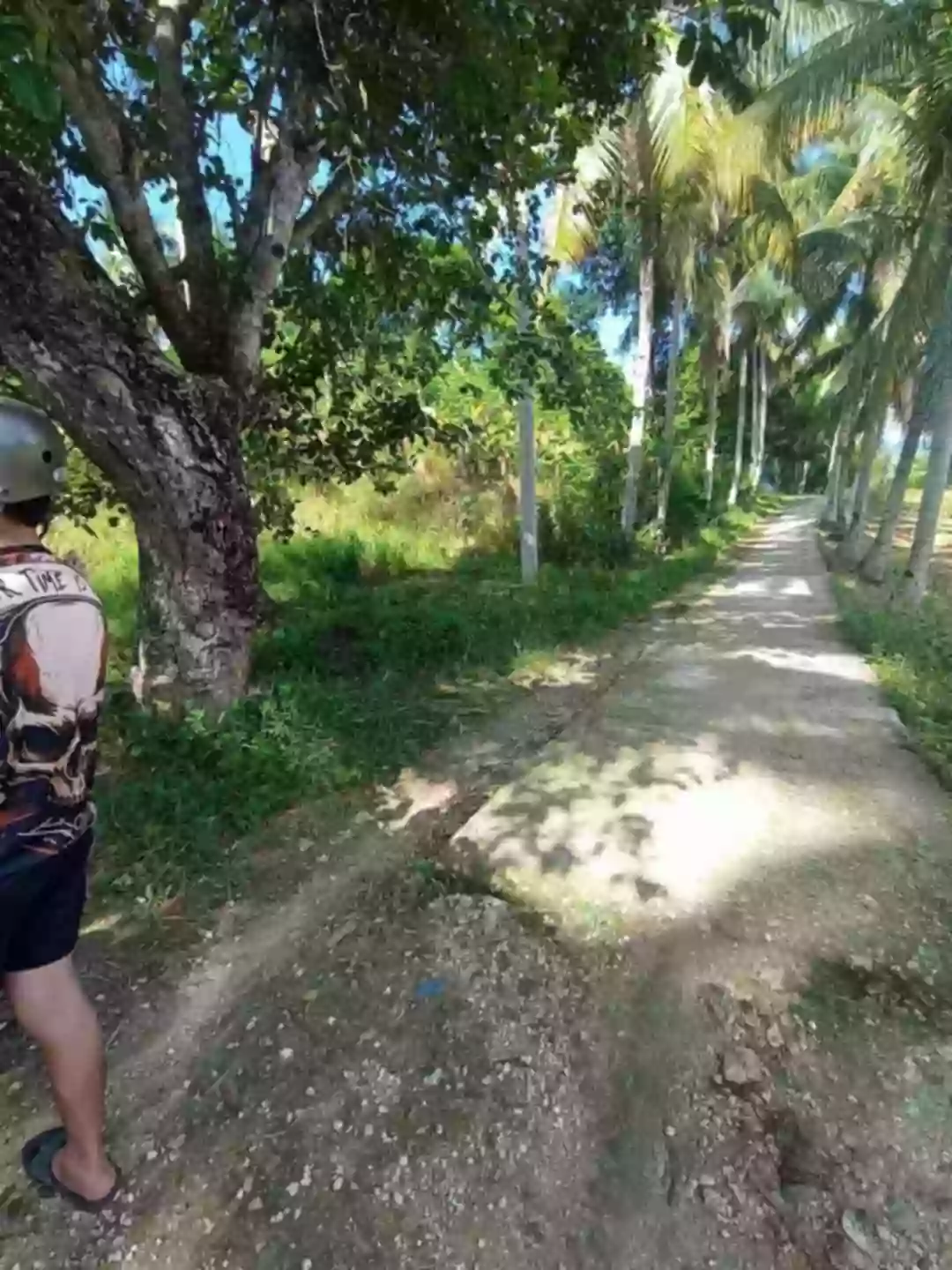 FARM LOT FOR SALE AT DANAO CITY CEBU — Agricultural Lot in Danao City, Cebu, Philippines — Photo 5