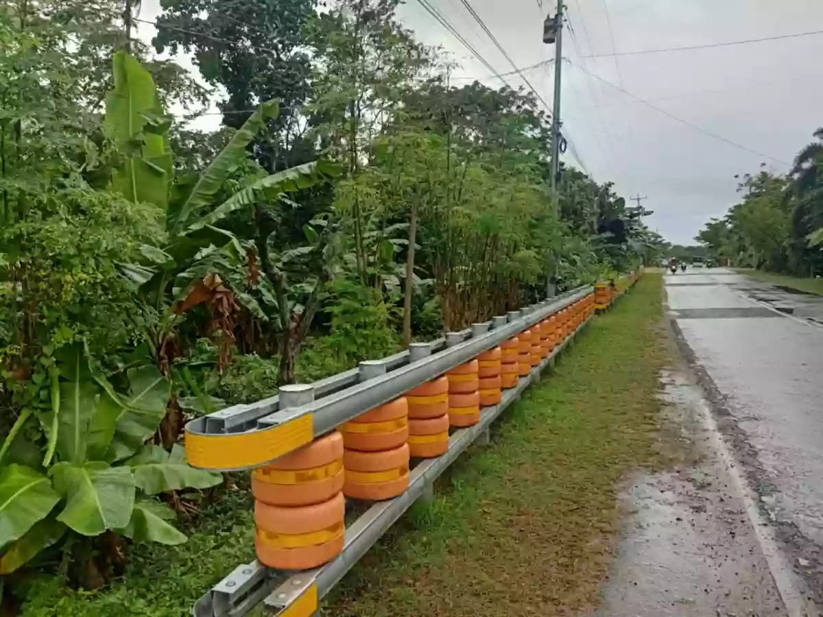 Lot for Sale SanJuan Siquijor — Residential Lot in San Juan, Siquijor, Philippines — Photo 4