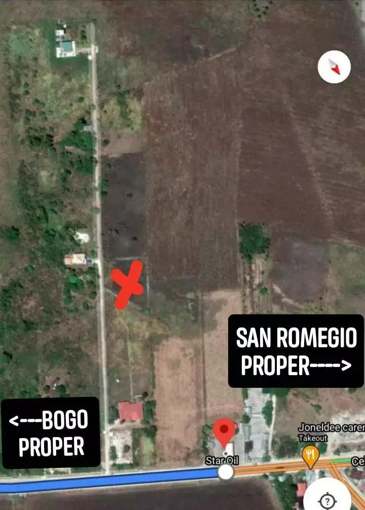 Clean Title — Agricultural Lot in Cebu, Philippines — Photo 5