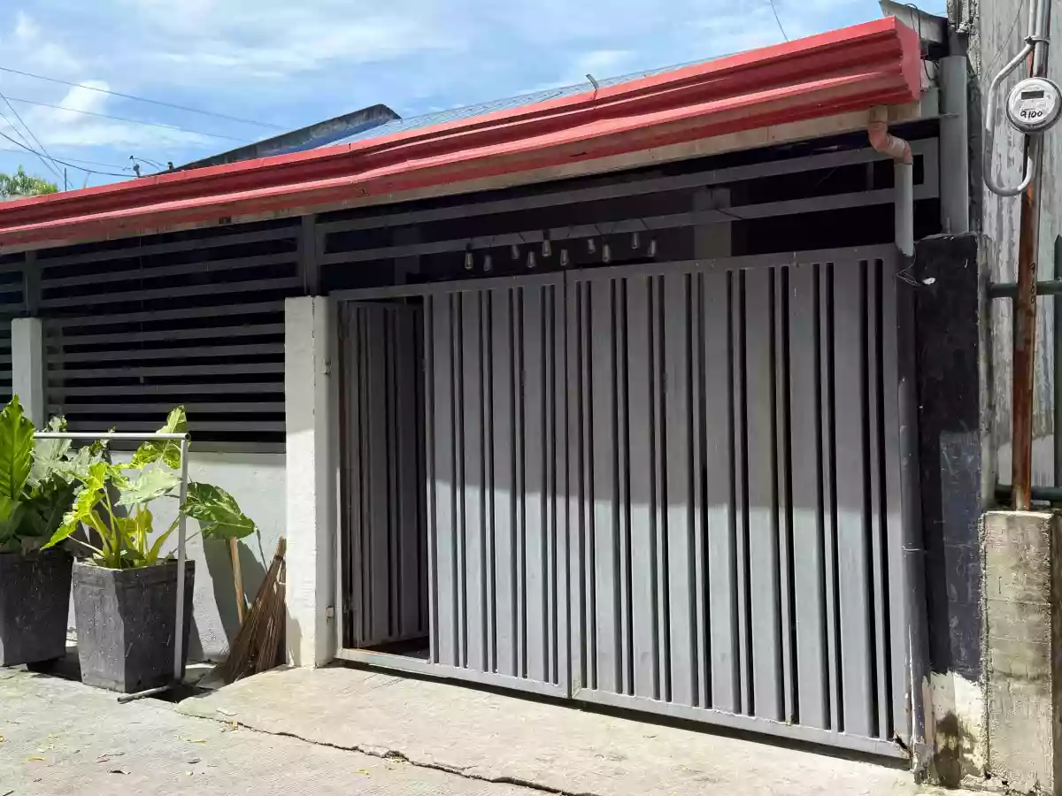 VSM1