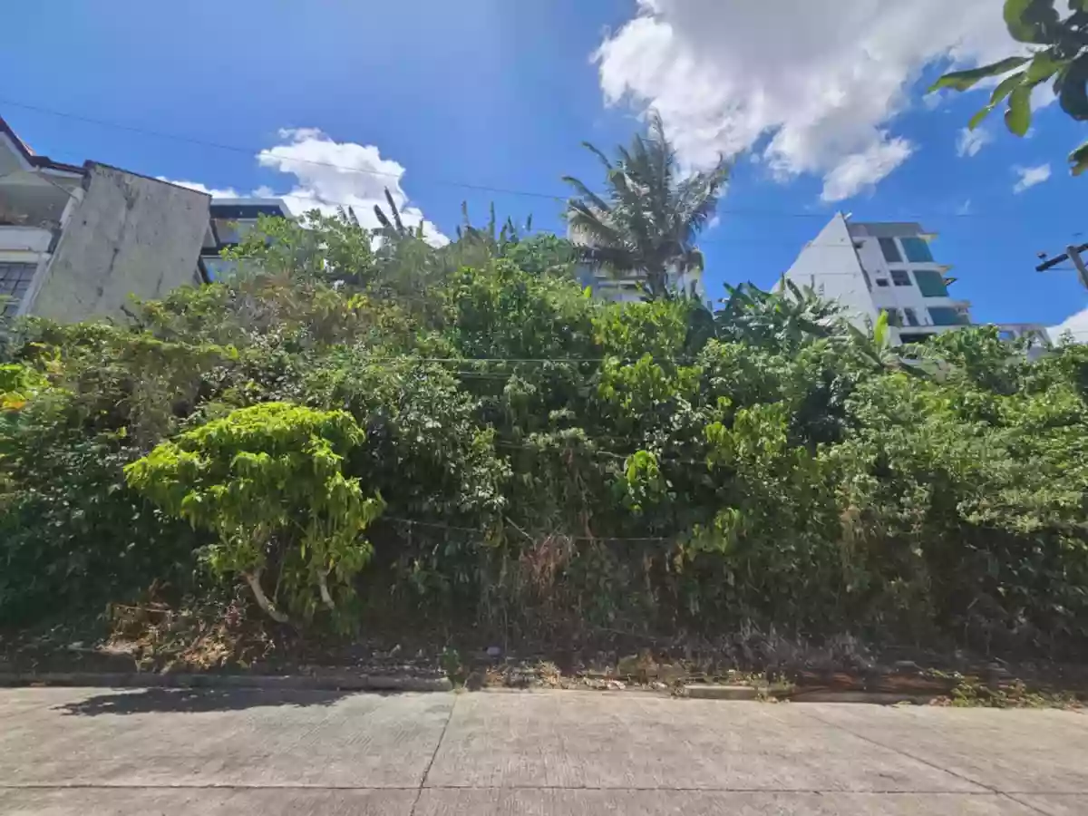 LOTS FOR SALE INSIDE SOUTH HILLS SUBDIVISION (High End Subdivision) — Residential Lot in Cebu City, Cebu, Philippines — Photo 2