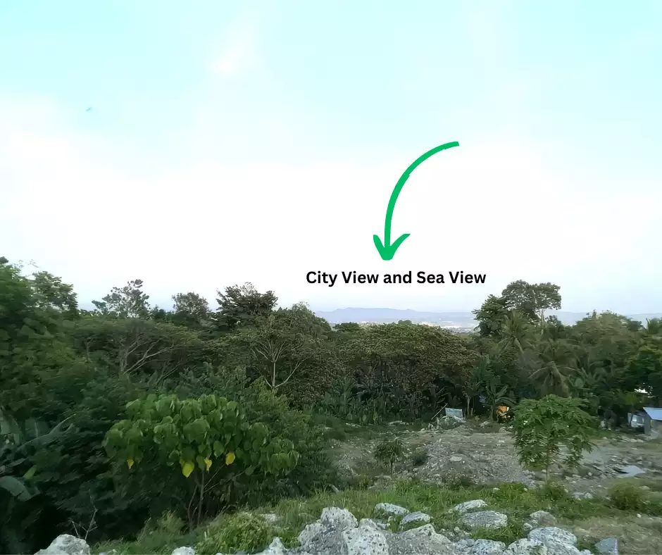 Overlooking Commercial Lot For Sale in Davao