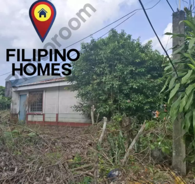 BUNGALOW TYPE HOUSE FOR SALE — Townhouse in Naga City, Camarines Sur, Philippines — Photo 3