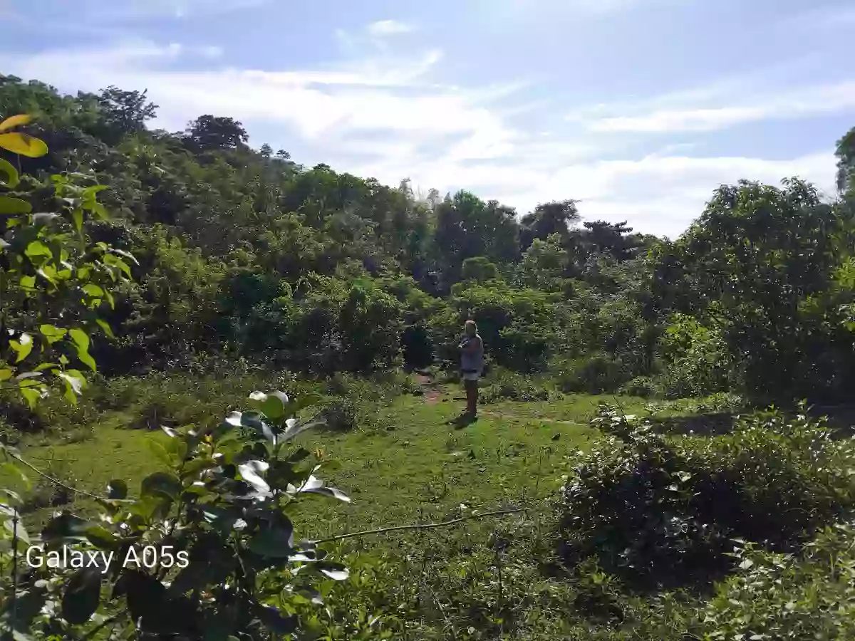 Land for Sale — Agricultural Lot in Guimaras, Philippines — Photo 2