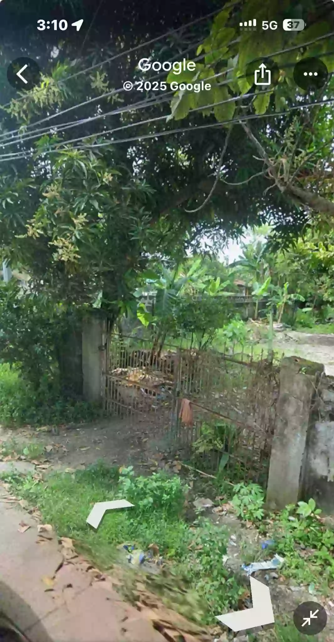 Lot for sakes — Residential Lot in Capiz, Philippines — Photo 2
