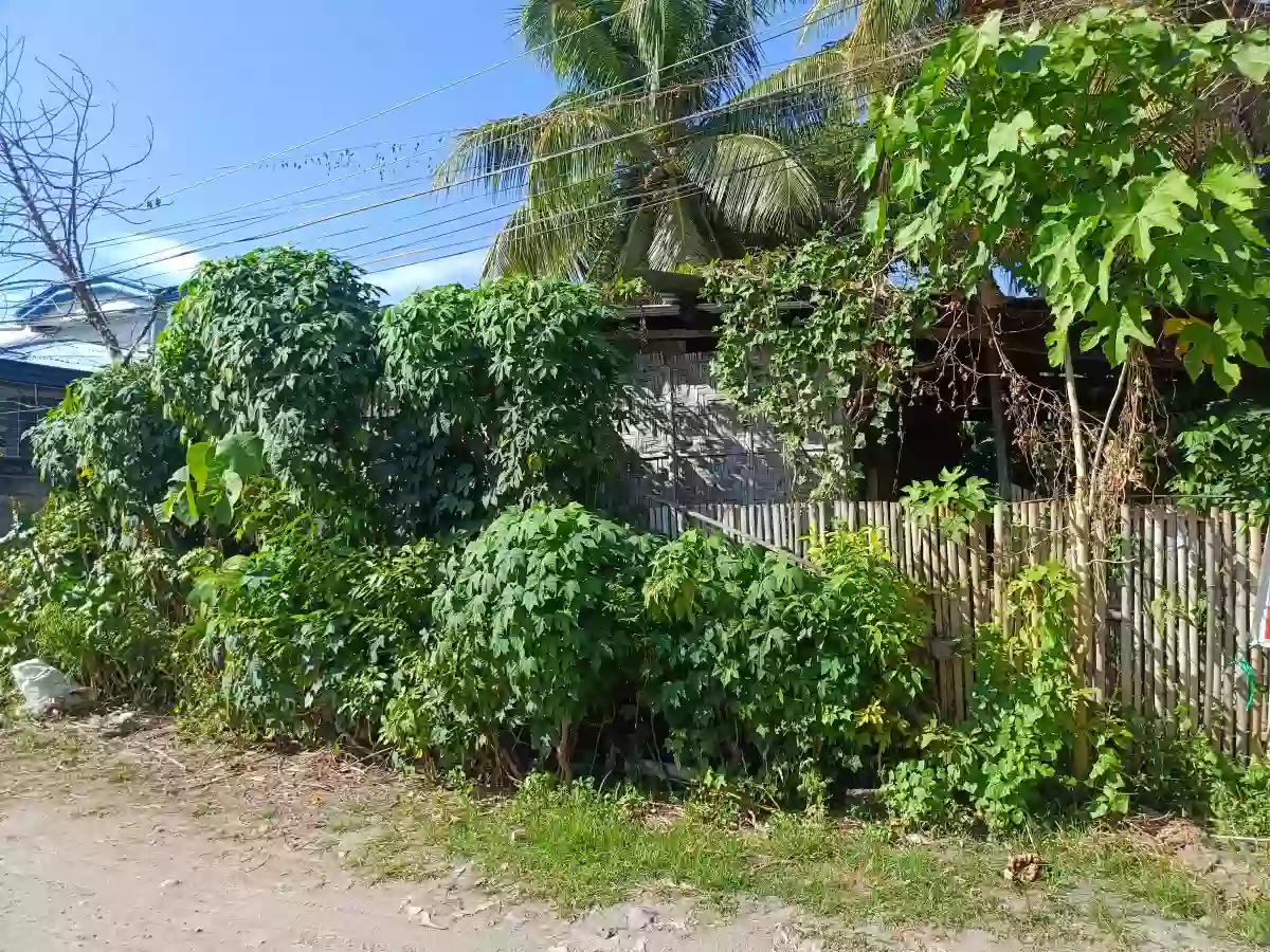 Residential lot For sale