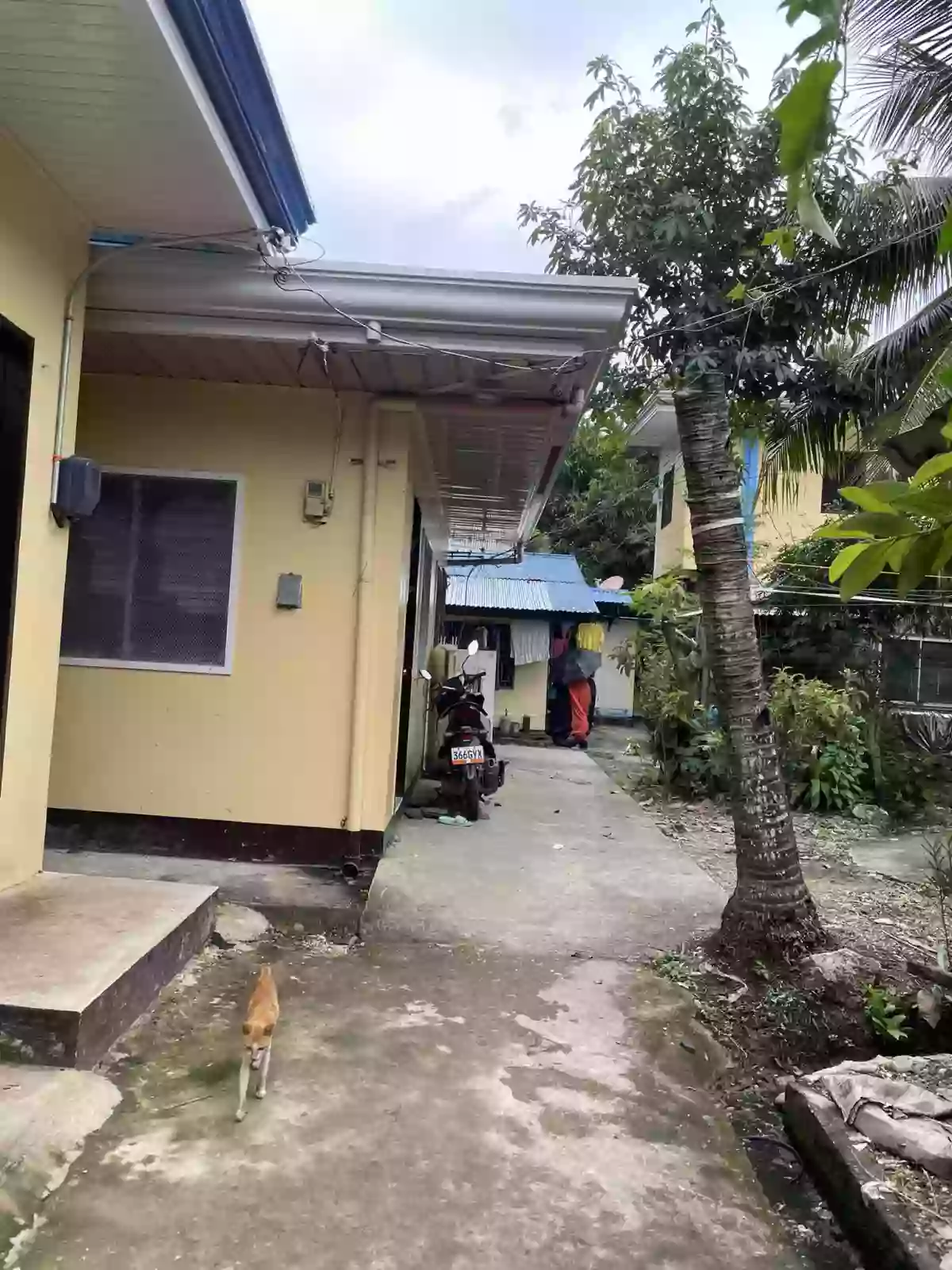 1 Bedroom Apartment for Rent — Apartment in Danao City, Cebu, Philippines — Photo 5