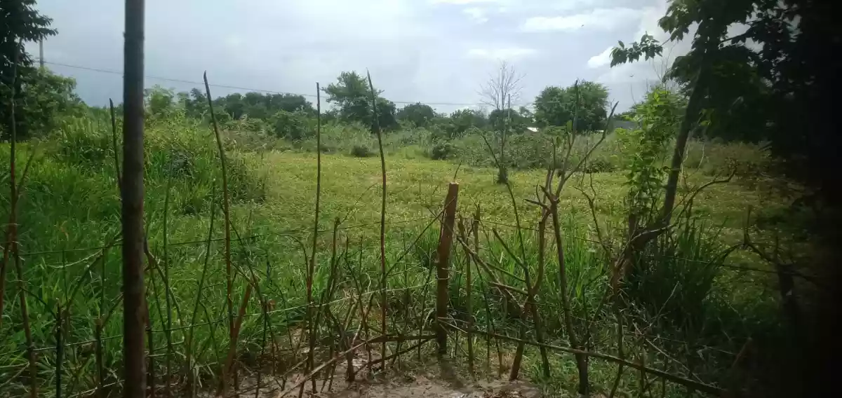 Residential lot 
