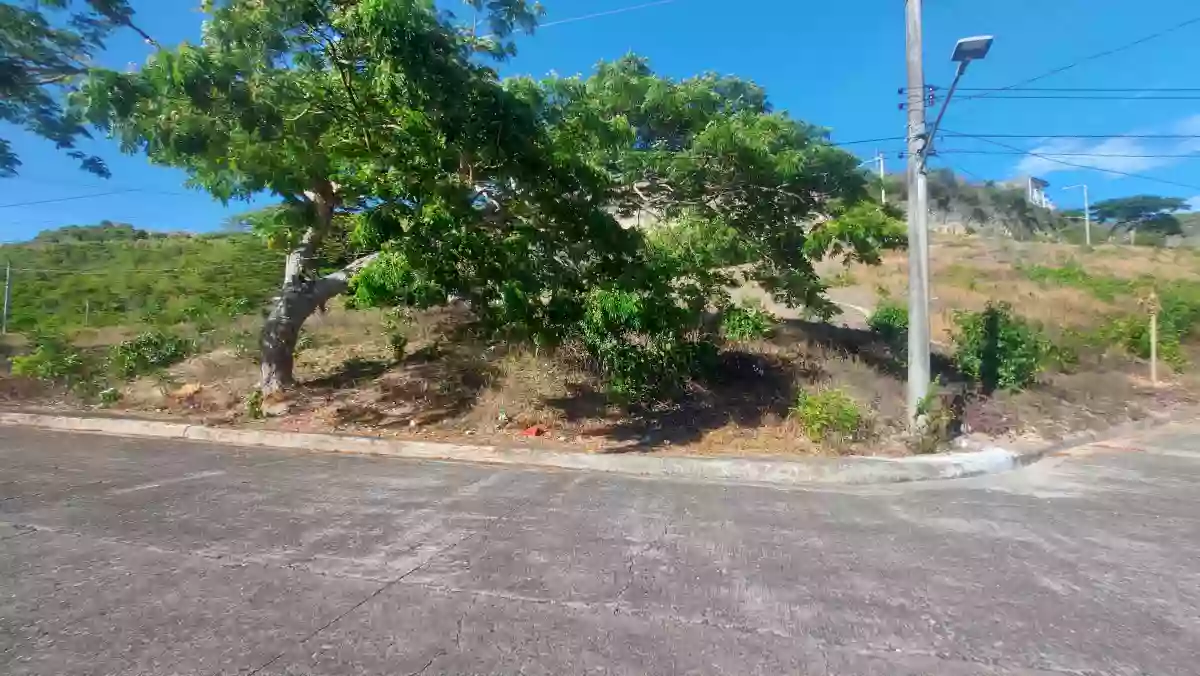 Residential lot for sale — Residential Lot in Consolacion, Consolacion, Cebu — Photo 3