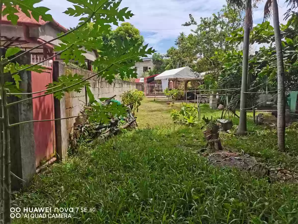 Premium Lot: Brgy. Bantayan, Dumaguete — Residential Lot in Dumaguete City, Negros Oriental, Central Visayas — Photo 2