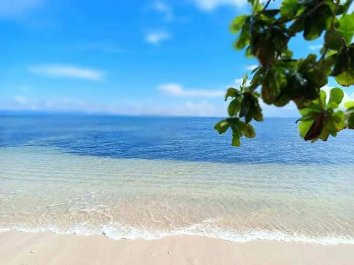 OWN THIS BEAUTIFUL PANARAGA BEACH — Beach Lot in Unnamed Road, Barobo, Surigao del Sur — Photo 5