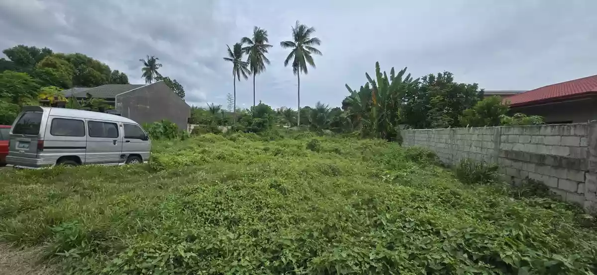 LOT FOR SALE IN CAMANJAC DUMAGUETE — Agricultural Lot in Dumaguete City, Negros Oriental, Philippines — Photo 2