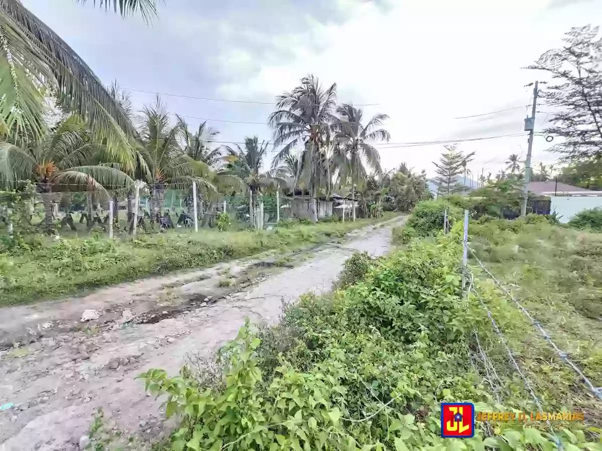 Rush Sale! 395sqm Lot in San Miguel, Bacong [available] — Residential Lot in Bacong, Negros Oriental, Philippines — Photo 4