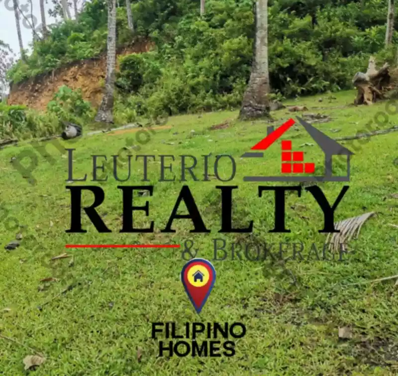 1000 SQM AGRI-FARM LOT FOR SALE — Agricultural Lot in Daraga, Albay, Philippines — Photo 4