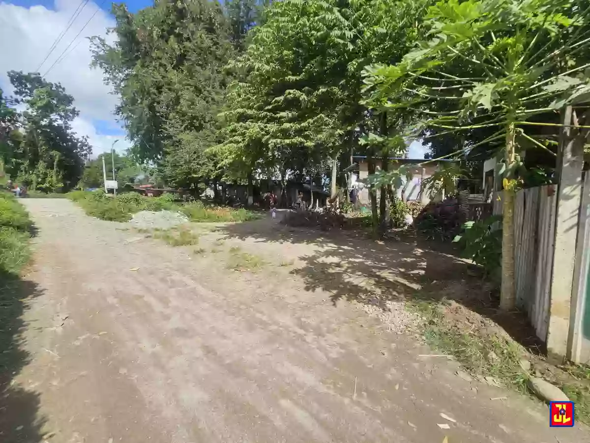 Rush Sale 2nd Lot from Diversion Road Batinguel, Dumaguete [available] — Residential Lot in Dumaguete, Negros Oriental, Philippines — Photo 2