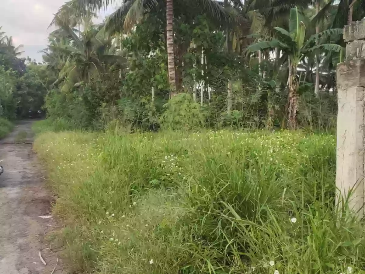 Residential Lot on Nursery Road Back of VSM Premier and Altafina — Residential Lot in General Santos City, South Cotabato, Philippines — Photo 5
