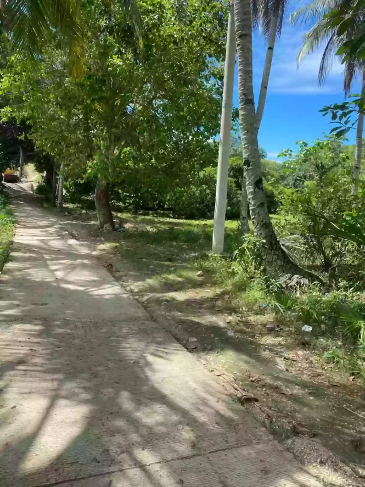 FARM LOT FOR SALE AT DANAO CITY CEBU — Agricultural Lot in Danao City, Cebu, Philippines — Photo 3