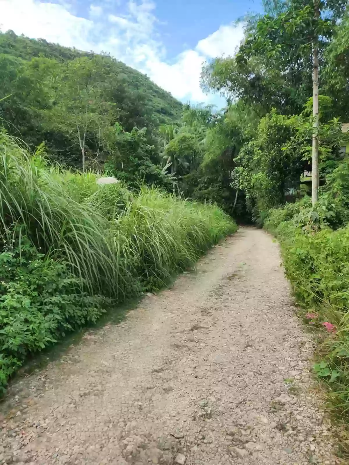 FARM LOT FOR SALE!!!