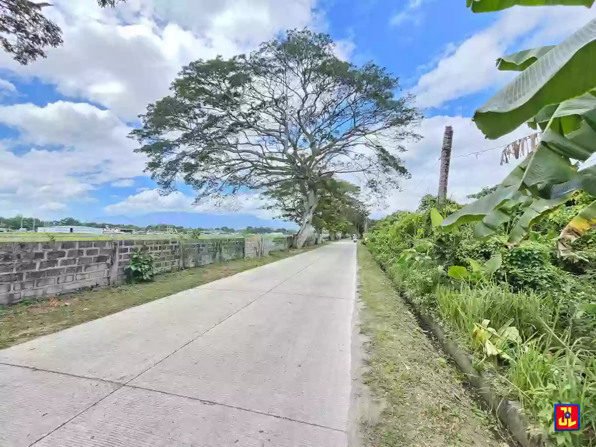 Rush Sale! Amazing Commercial Lot beside Airport Agan-an, Sibulan [available]