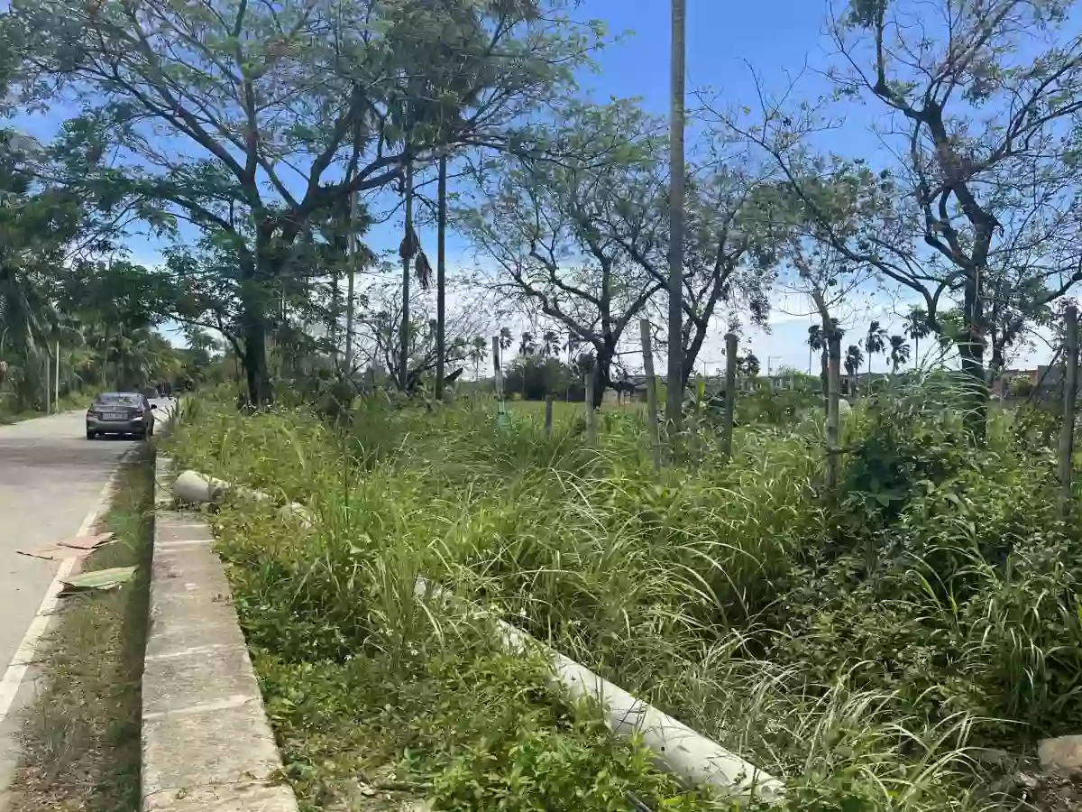 1.7 Hectare Agricultural Lot for Sale [TAX DEC] — Agricultural Lot in Liloan, Cebu, Philippines — Photo 6