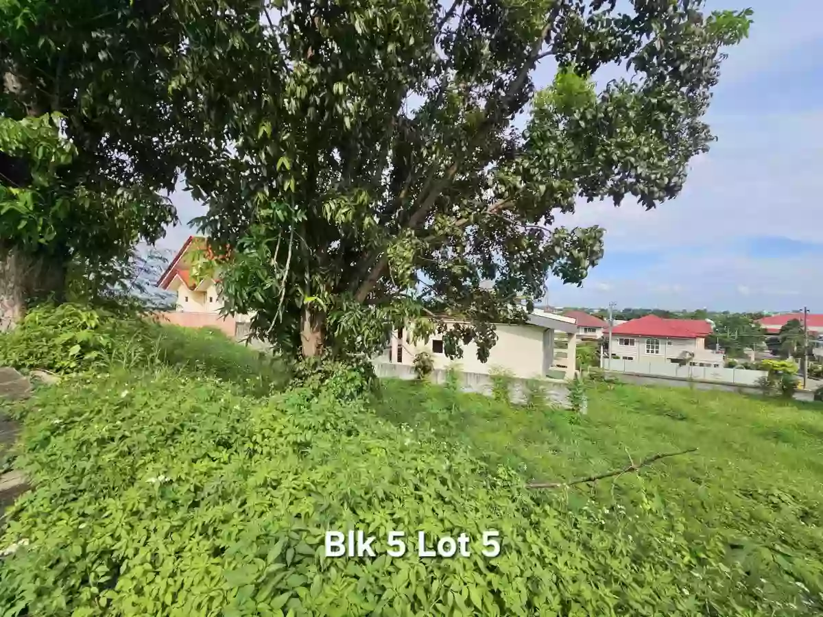 ROYALE Cebu Estate in Casili Consolacion Cebu-For as low as P30,000 per sqm.