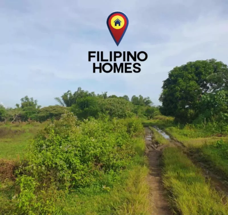 1000sqm RESIDENTIAL LOT FOR SALE — Residential Lot in Naga City, Camarines Sur, Philippines — Photo 6