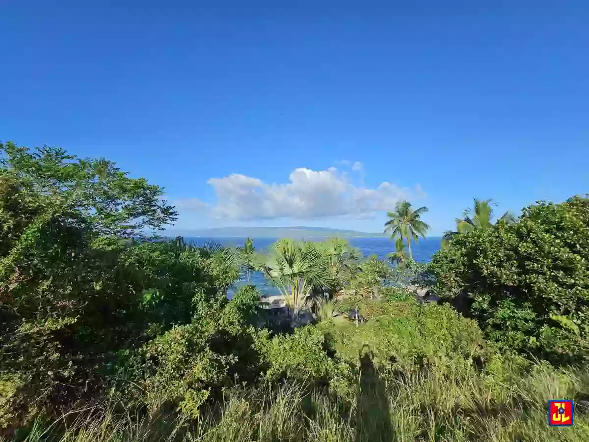 Rush Sale! From P7,000 to P6,250 per sqm! Prime Lot in Lalaan, San Jose, Negros Oriental [available] — Commercial Lot in Western Nautical Highway, San Jose, Negros Oriental — Photo 4