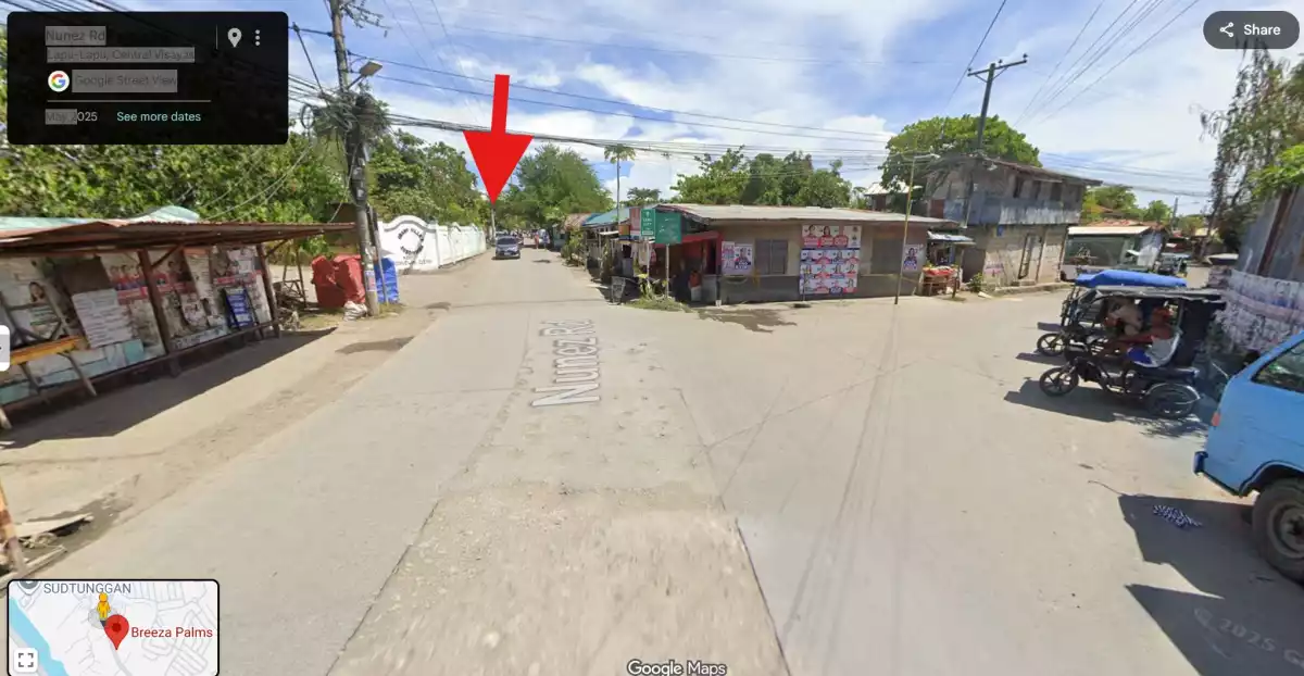 Lot Only along Breeza Palms — Residential Lot in Brgy, Nunez Road, Lapu-Lapu — Photo 3