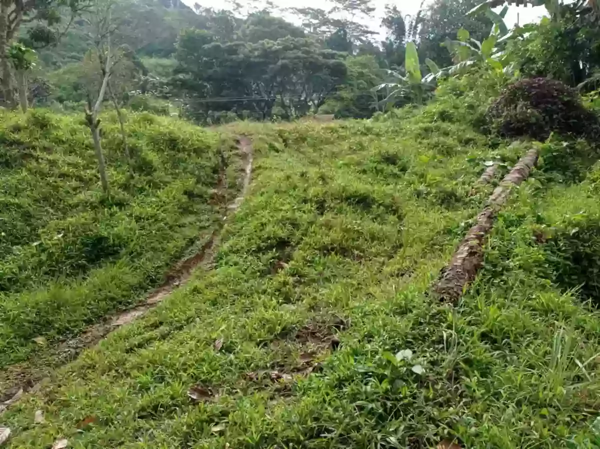 HOME LOT FOR SALE — Residential Lot in Sultan Kudarat, Philippines — Photo 5
