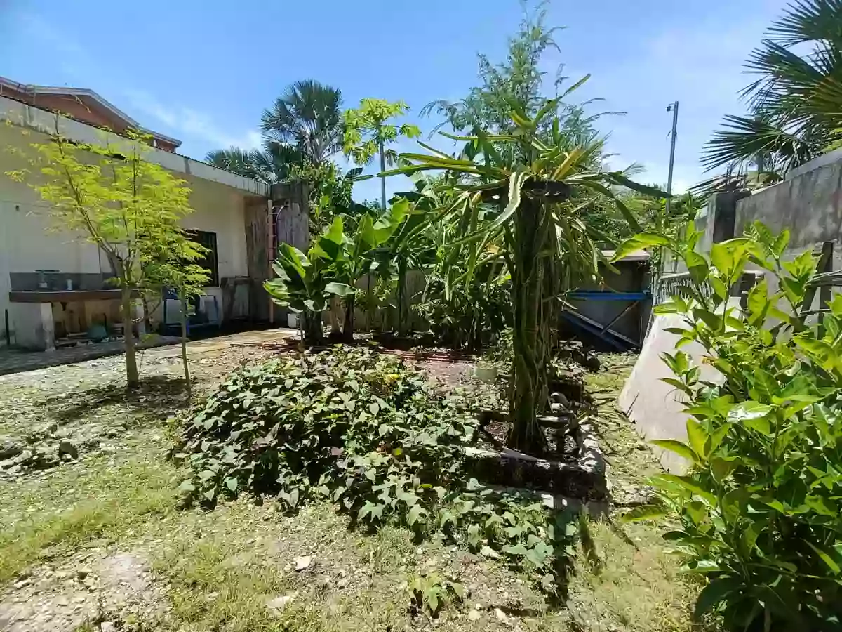 Bungalow House for Sale in Liloan — House and Lot in Central Nautical Highway, Liloan, Cebu — Photo 4