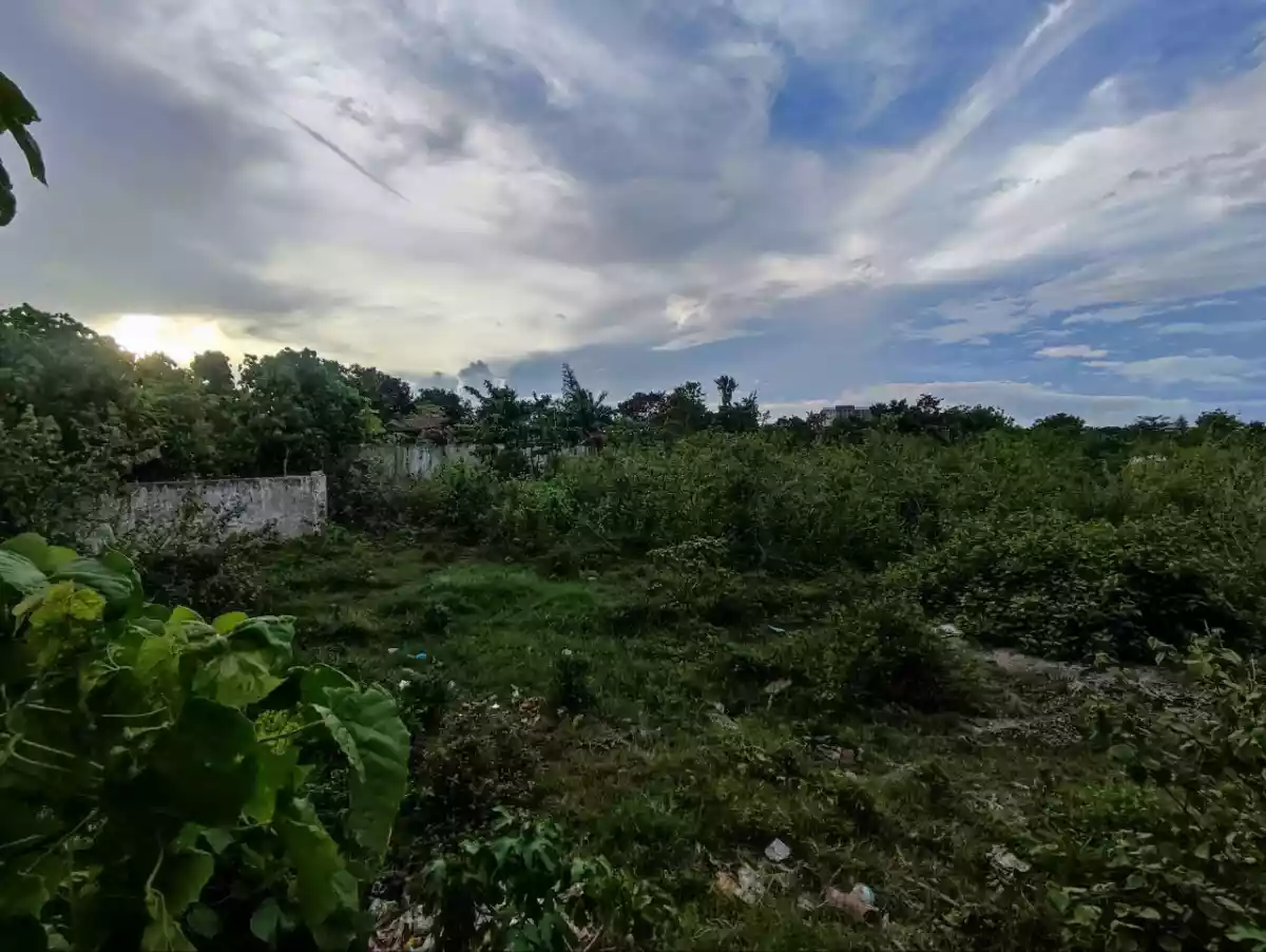 Lot for sale in Lapu lapu City, Cebu — Residential Lot in Cebu, Philippines — Photo 3