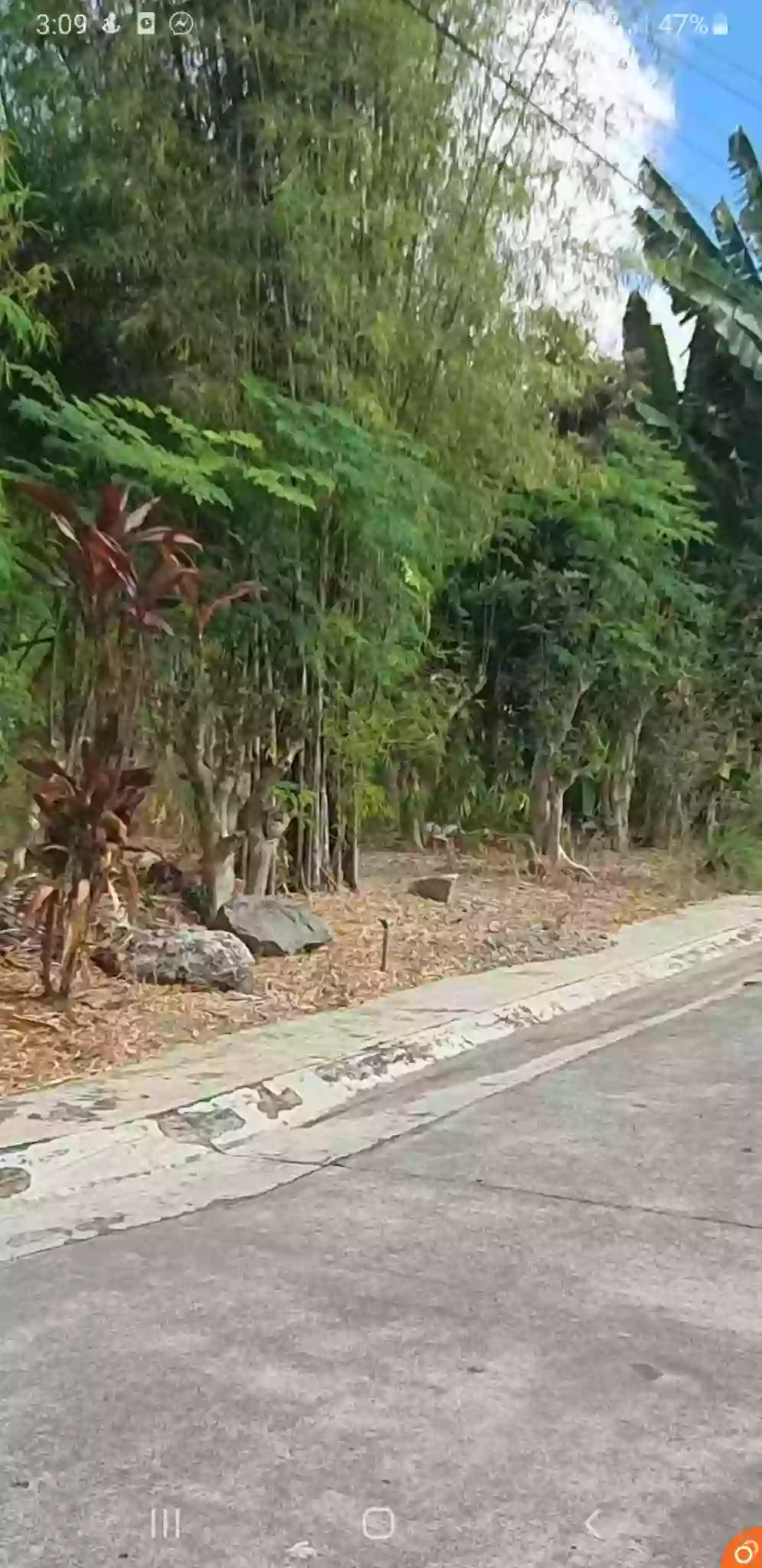 Prime Lot for sale in a High-End Subdivision — Residential Lot in Tungkop Road, Minglanilla, Cebu — Photo 3