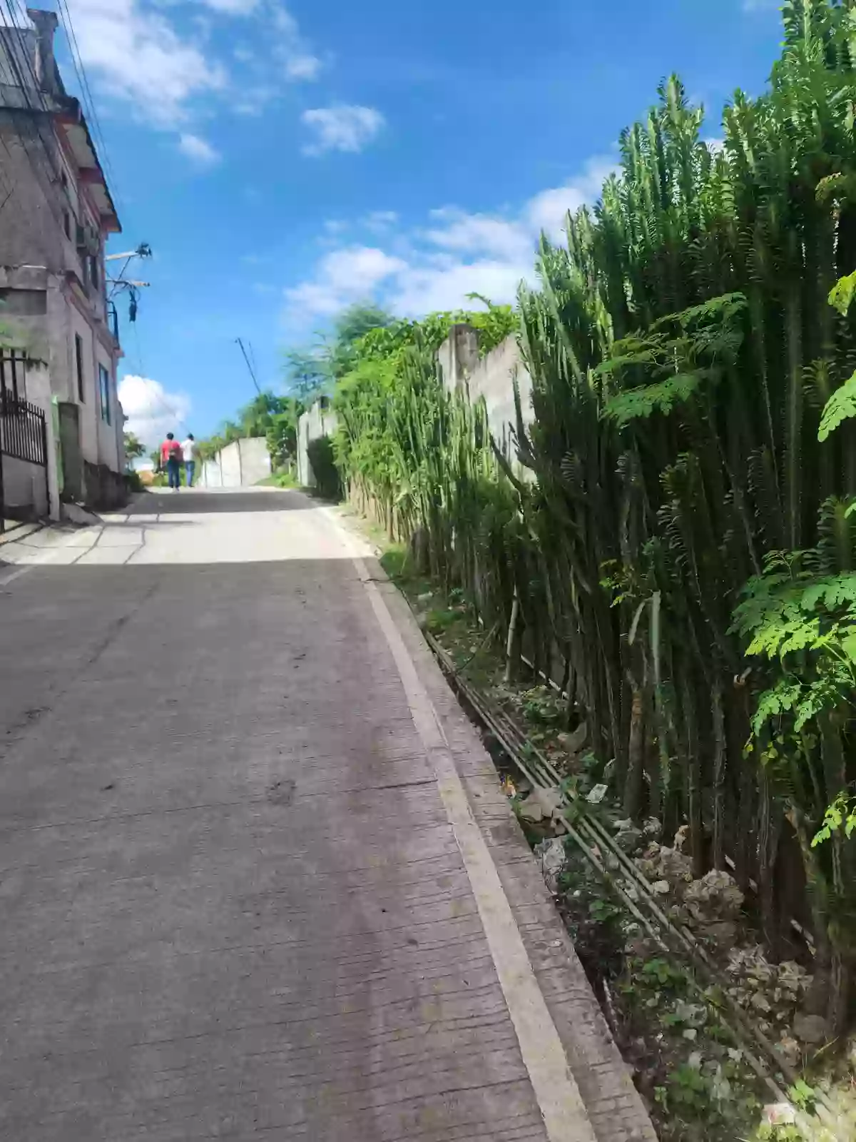 CONSOLACION LOT FOR SALE!