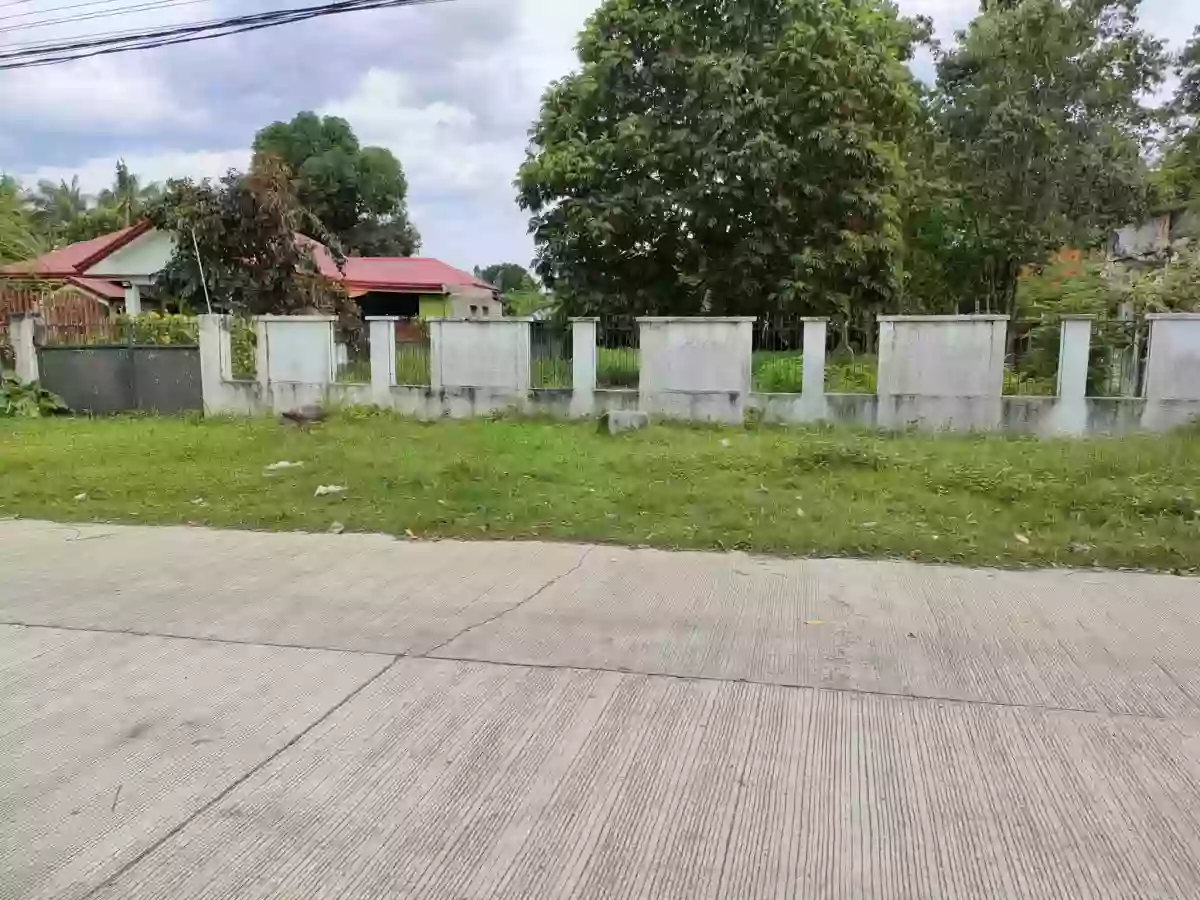 Lot for Sale in Batinguel, Dumaguete City, Negros Oriental — Residential Lot in Dumaguete, Negros Oriental, Philippines — Photo 3