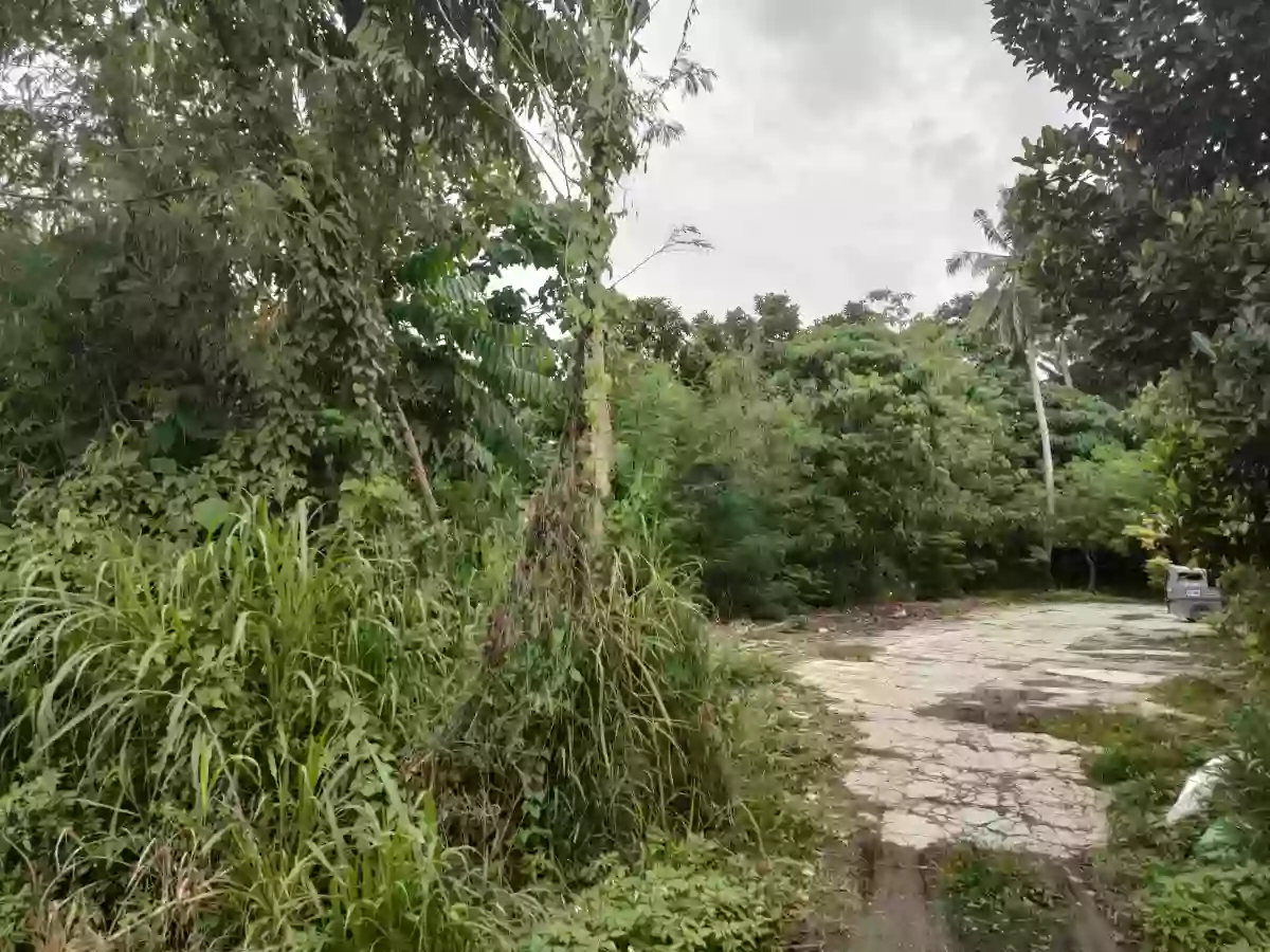Commercial property — Commercial Lot in 1, General Santos City (Dadiangas), South Cotabato — Photo 4