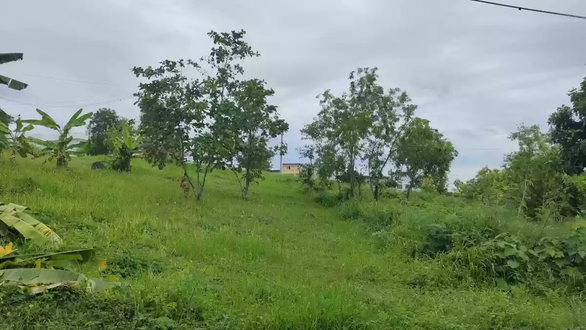 LOT FOR SALE in Vista Grande Talisay City, Cebu! — Residential Lot in Talisay City, Cebu, Philippines — Photo 2